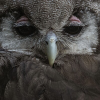 Портрет фотографа (аватар) Markéta Mastešová (MM)