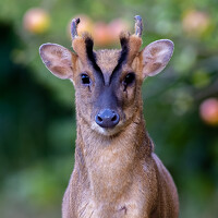 Портрет фотографа (аватар) Mike Roberts