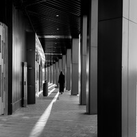 Портрет фотографа (аватар) Светлана Вербицкая (Svetlana Verbitskaya)