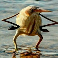 Портрет фотографа (аватар) Лидия