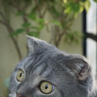 Портрет фотографа (аватар) Мария Халуторных (Maria Halutornih)