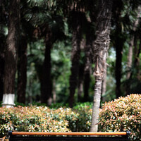 Портрет фотографа (аватар) zzqbe