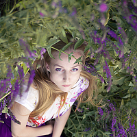 Портрет фотографа (аватар) ashai (Ashai Autodefe)