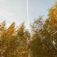 Портрет фотографа (аватар) Нина Зорина