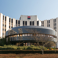 Портрет фотографа (аватар) Electric Elf