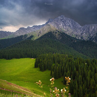 Портрет фотографа (аватар) rat