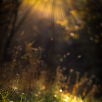 Портрет фотографа (аватар) Владимир Барсуков (Vladimir Barsukov)