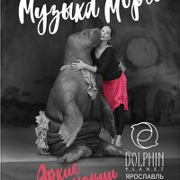 Портрет фотографа (аватар) Elen Krachek