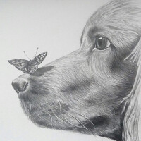 Портрет фотографа (аватар) Алексей Коврижных