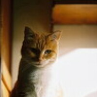 Фотография Louis SLM54S (Sudden) Портрет фотографа (аватар) Louis SLM54S (Sudden)