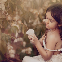 Портрет фотографа (аватар) Sharon Turgeman