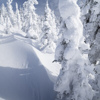 Портрет фотографа (аватар) Светлана Андреева (Svetlana Andreeva)