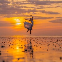 Портрет фотографа (аватар) Miên Mộc (Lại bích liên)