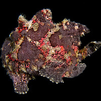 Портрет фотографа (аватар) daniele comin (Daniele Comin)