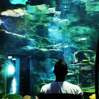 Портрет фотографа (аватар) Naweed Azeem (Naweed)