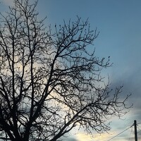 Портрет фотографа (аватар) Анжела Д (ANZHELA)