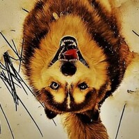 Портрет фотографа (аватар) Oleksandr Hrudetskyi