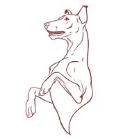 Портрет фотографа (аватар) Елена Иванова (Elena Ivanova)