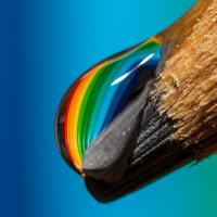 Портрет фотографа (аватар) Gregor Kobilica