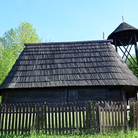 Портрет фотографа (аватар) Ljiljana Nedeljković