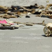 Портрет фотографа (аватар) Jagriti Srivastava