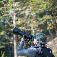 Портрет фотографа (аватар) Lee Justin Lik Tsz