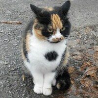 Портрет фотографа (аватар)  zabses