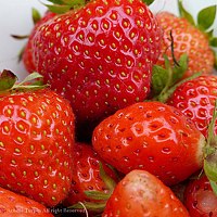 Портрет фотографа (аватар) UK