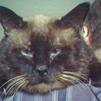 Портрет фотографа (аватар) Юрий