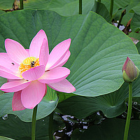 Фотография Людмила Портрет фотографа (аватар) Людмила