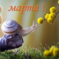 Портрет фотографа (аватар) Виктор