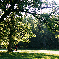 Портрет фотографа (аватар) Саша Cаньтьяго (Sasha Santiago)