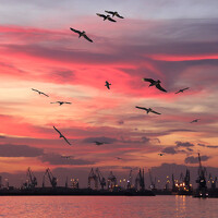 Портрет фотографа (аватар) Economidis Dimitris (ΔΗΜΗΤΡΗΣ ΟΙΚΟΝΟΜΙΔΗΣ)