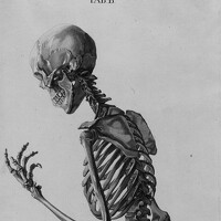 Портрет фотографа (аватар)  Богдан