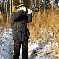 Портрет фотографа (аватар) Alexei Kriptozoy