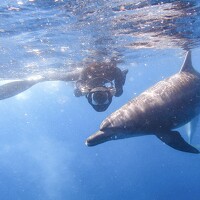 Портрет фотографа (аватар) AKASAKA AKIRA (AKIRA AKASAKA)