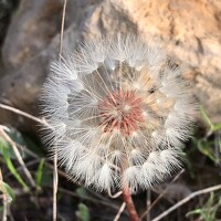 Фотография Grupoarte Портрет фотографа (аватар) Grupoarte