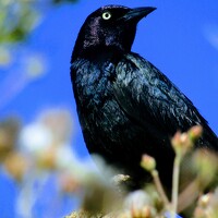 Портрет фотографа (аватар) Ethan Williams