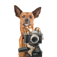 Портрет фотографа (аватар) Miguel Romero (Miguel Romero Gorria)