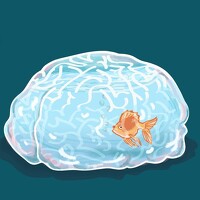 Портрет фотографа (аватар) Carlos Manuel Peguero Gomez