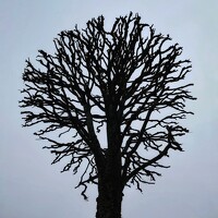 Портрет фотографа (аватар) Ilya Katarov