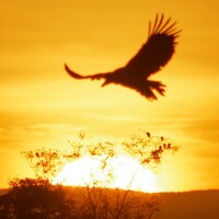 Портрет фотографа (аватар) Андрей Б