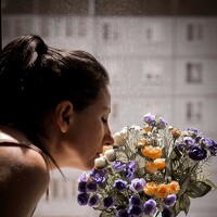 Портрет фотографа (аватар) Svetlana Storozheva