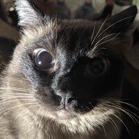 Портрет фотографа (аватар) Евгений Шпагин (Evgeniy Shpagin)