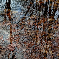 Портрет фотографа (аватар) Дарья Комарова (Daria Komarova)