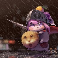 Портрет фотографа (аватар) ZHAO 安德烈 (rockey)