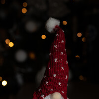 Фотография Татьяна Скрипка (Tatjana Skripka) Портрет фотографа (аватар) Татьяна Скрипка (Tatjana Skripka)