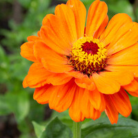 Портрет фотографа (аватар) Марина Деткова (Marina)