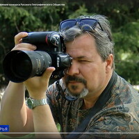 Портрет фотографа (аватар) Алексей Шехонин (Alexey Shekhonin)