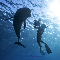 Фотография Kuriyama Manami (栗山麻奈美) Портрет фотографа (аватар) Kuriyama Manami (栗山麻奈美)